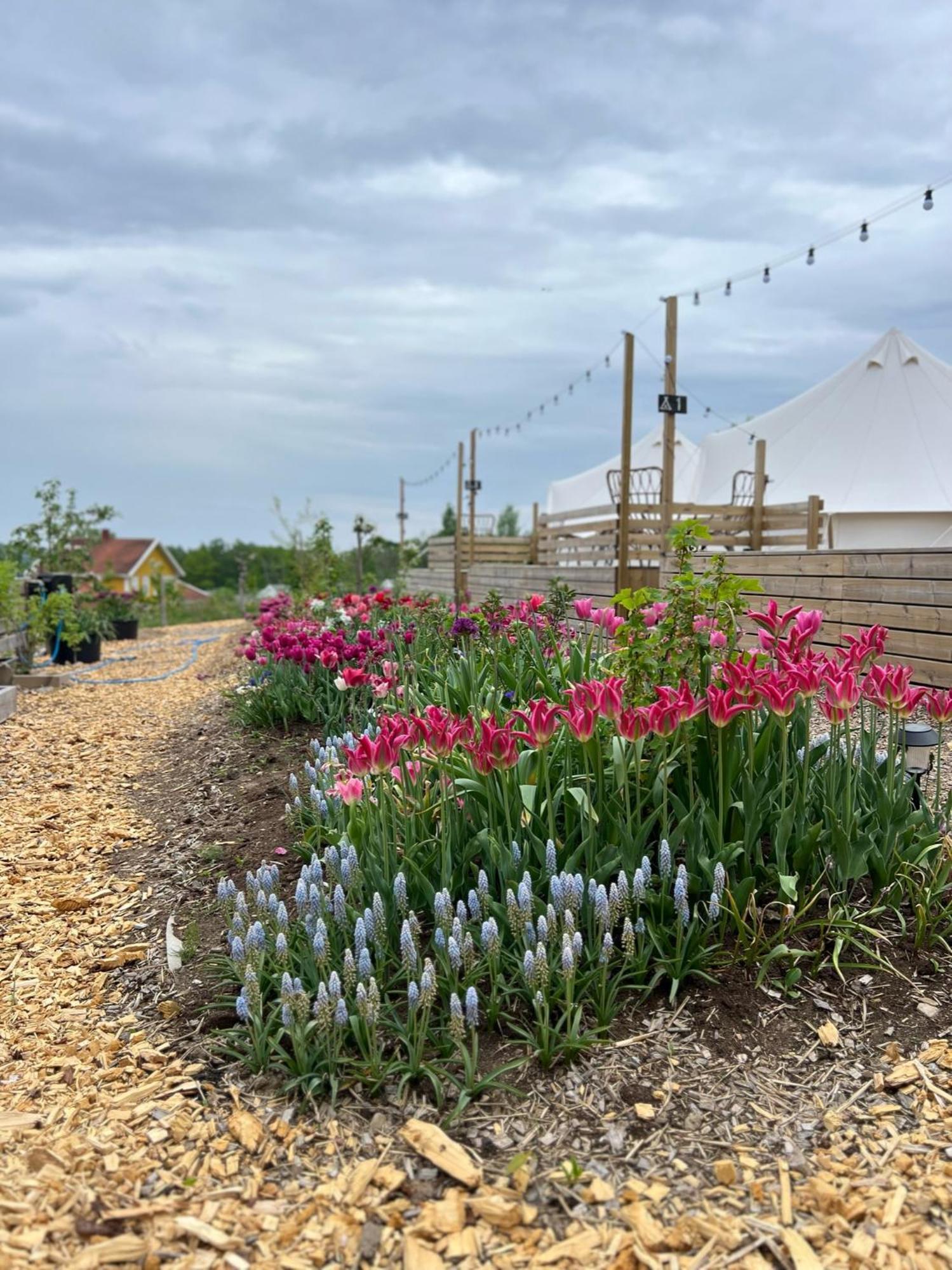 Vaettervy Glamping Otel Habo Dış mekan fotoğraf