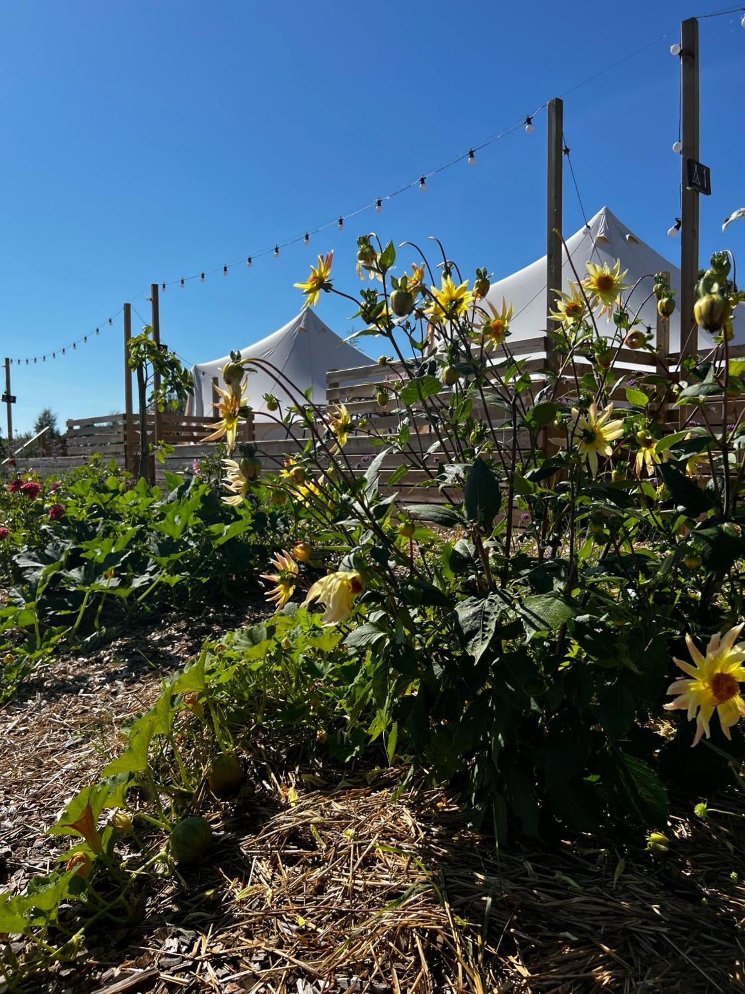 Vaettervy Glamping Otel Habo Dış mekan fotoğraf